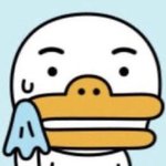 아니 <b>미국</b>이랑 호주는 <b>땅</b>넓고 오지가 많아서 그런가