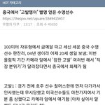 조선족들 여초 커<b>뮤</b> <b>반응</b> 퍼갈려다 실패했네ㅋㅋ