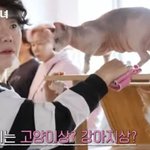  '낮밤녀' 특별출연 새신랑 <b>윤박</b>에 "행복하세요"...최진혁...