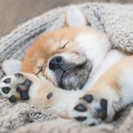[<b>소름</b>실화] 무서운 썰 좀 풀어주세요