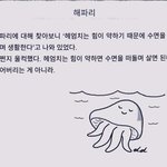 [댓글부탁해] 우리 <b>사촌</b>언니 결혼 때문에 <b>집</b> 난리남
