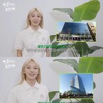 사옥 지분? "청담동 소녀시대 99%, 성수동 에스파-<b>NCT</b>"