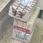 이씹덕왜난리임?