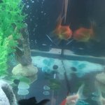 <b>에메</b>필 잘 모아짐?