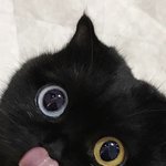 <b>QWER</b>로 발작하는 한녀들 꼴불견임