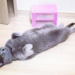 근데 난 야구 남자보다 여자가 더 많이본단게