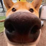 쎈 하루에 한권씩 마스터 가능?