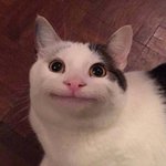 나 오늘 <b>생일</b>이야 ㅎㅎㅎ
