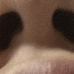 [댓글부탁해] 나 콧구멍 크기 <b>변화</b> 봐줄사람 ㅠㅠㅠㅠ
