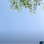 찐 기상캐스터로 깜짝 등장한 엔믹스 해원