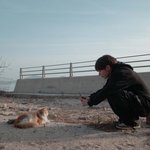 [<b>TXT</b>] 아니 아기고양이가 두마리?!