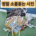 와... 이거 실<b>환가</b>요...