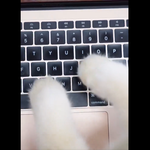 [레이] <b>베리</b>레드톡)사담