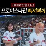 치어리더 빠는 남자애들 심리가 뭐임?