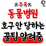 [방탈죄송] <b>동물</b>병원 호구 당하지 않는 방법