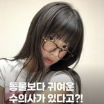 [댓글부탁해] <b>수의사</b>중에 젤 예쁜 의사