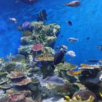 [댓글부탁해] 고1인데 용돈0원 제발 해결법 좀 알려줘ㅠㅠ