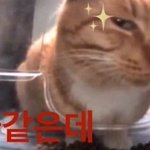 너네 엠비티아이 변천사 뭐임