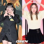 이영지는 어디? 이은지·<b>미미</b>, 안유진 지원 사격..'지락실' 의리...