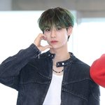 템페스트 <b>화랑</b>, 사생활 논란 활동 중단→결국 탈퇴.."계약 종료...