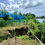 공공기관 사유지 불법 사용 수만건 이상