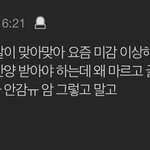 <b>미감</b>타령 개지겹긴해
