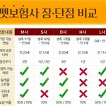 펫보험 비교<b>견적</b> 꼭받으세요.