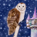 [어케생각해] 취미로 그린 원숭이<b>올빼미</b> 그림