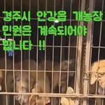 <b>도움</b>__경주개농장이거진짜인가요????