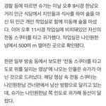 [군대] 왜 500m 얘기했는지 알겠네