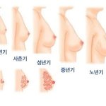 너네 여기중에 몆단계임