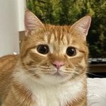 [19] 자기 정보 관련된 추반하자 들어<b>와바</b>