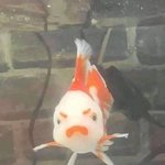 너네 친구랑 스<b>퀸십</b> 어디까지 ㄱㄴ해?