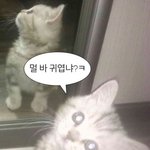 나두 나<b>한태</b>