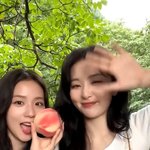 [드루와] 지수 슬기 걸프렌드 챌린지 봤냐..