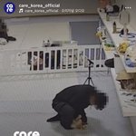 거제 애견유치원 학대.. 도라에몽인가