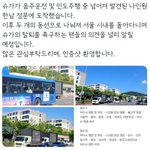 슈가 탈퇴 트럭<b>시위</b> 시작한 방탄팬들