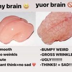 자기입으로 <b>인</b>프피라 하는애는 <b>인</b>프피가 아님