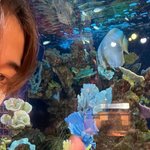 이한 이사진 <b>원본</b>좀<b>주라</b>