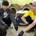 방탄 진 아라시멤버랑 유기견 <b>봉사</b>