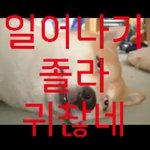 생리전에 <b>짜증</b>나는거 어케참냐