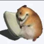 너네 ㄹㅇ 이루고싶은 꿈 있냐