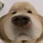 [댓글부탁해] 남친이 자기 퐁퐁이냐고 물어보는데