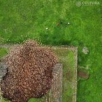 멕시코피라미드가 이상기온현상에 일부가 무너짐