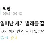 딴<b>사람</b>도 <b>알</b>만한밴드 파면서