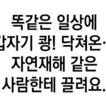 [드루와] 최애가 너무 좋아서 돌아<b>버릴</b>거같음