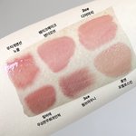 가을<b>뮤트</b> 립 개이쁜것들 추천해줄게