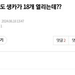 [트레저] ㅋㅋㅋㅋㅋ<b>이</b>글 조카 웃김