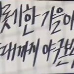 뭔가 올해 가능해<b>보임</b>