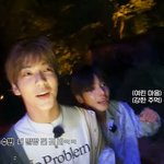 [<b>TXT</b>] 막내고양이 진짜 어쩌면 좋지